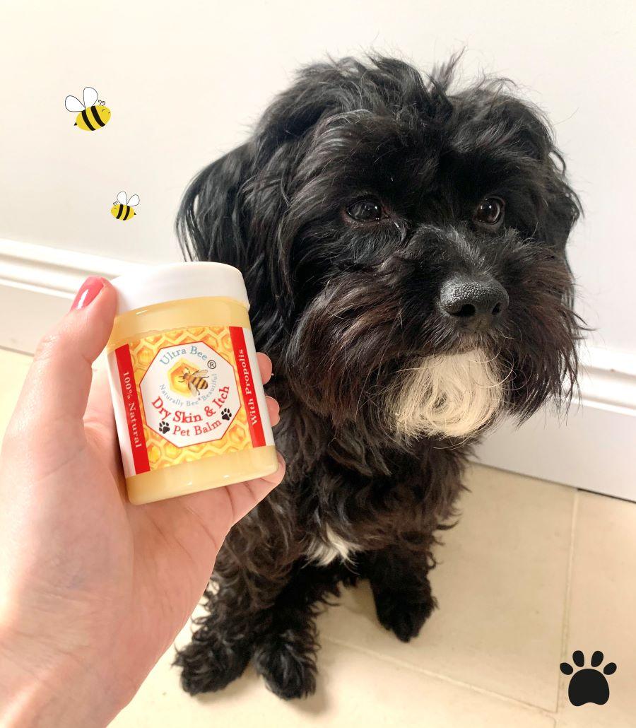 100% Natural Pet Dry Skin & Itch Balm (allergenic skin) 100ml - Ultra Bee Health UK 